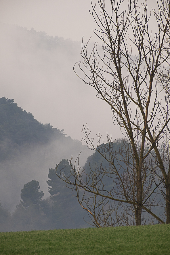 BOIRA IBAN 8